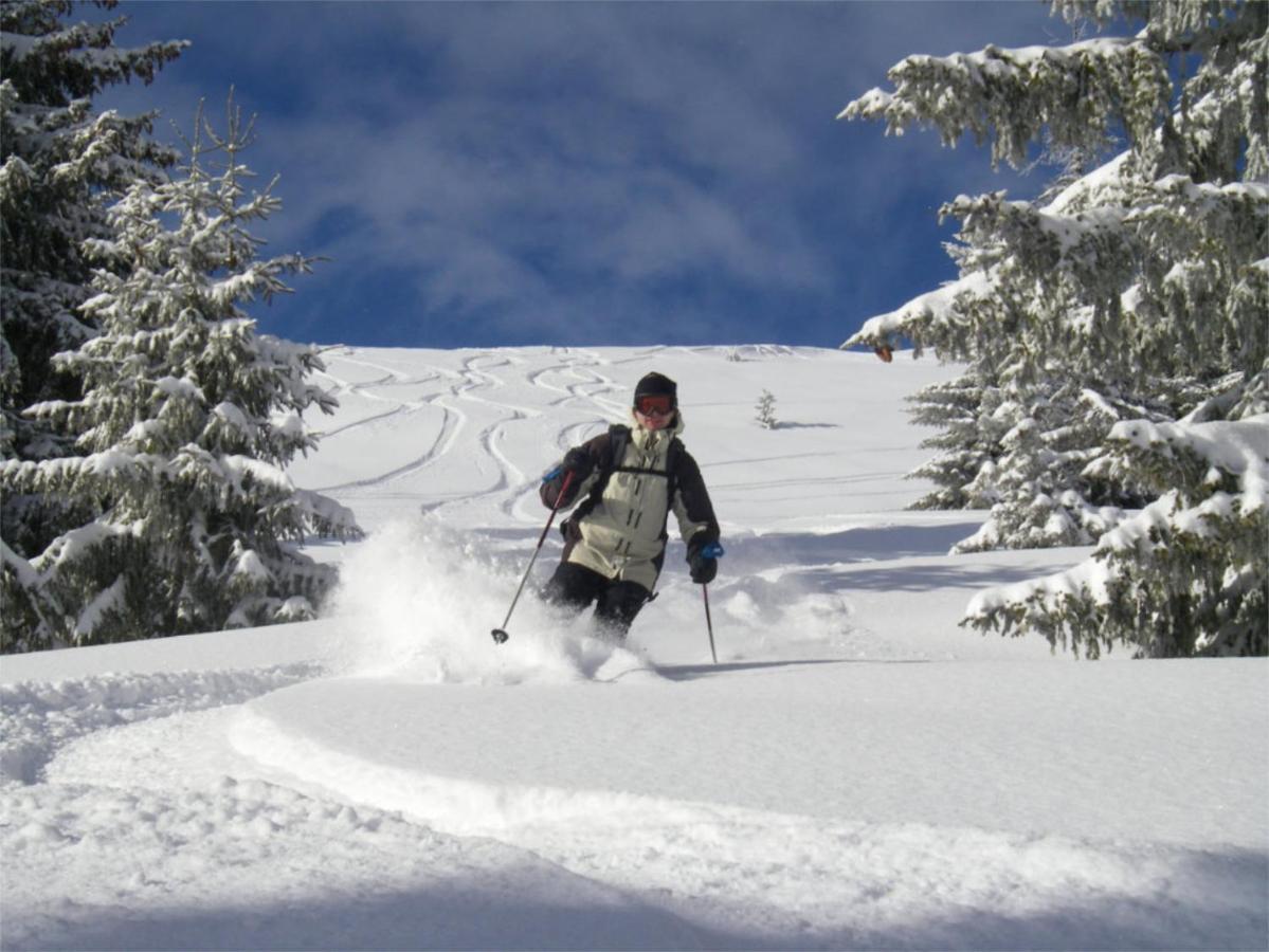 Chalet Aventure B&B Les Gets Dış mekan fotoğraf