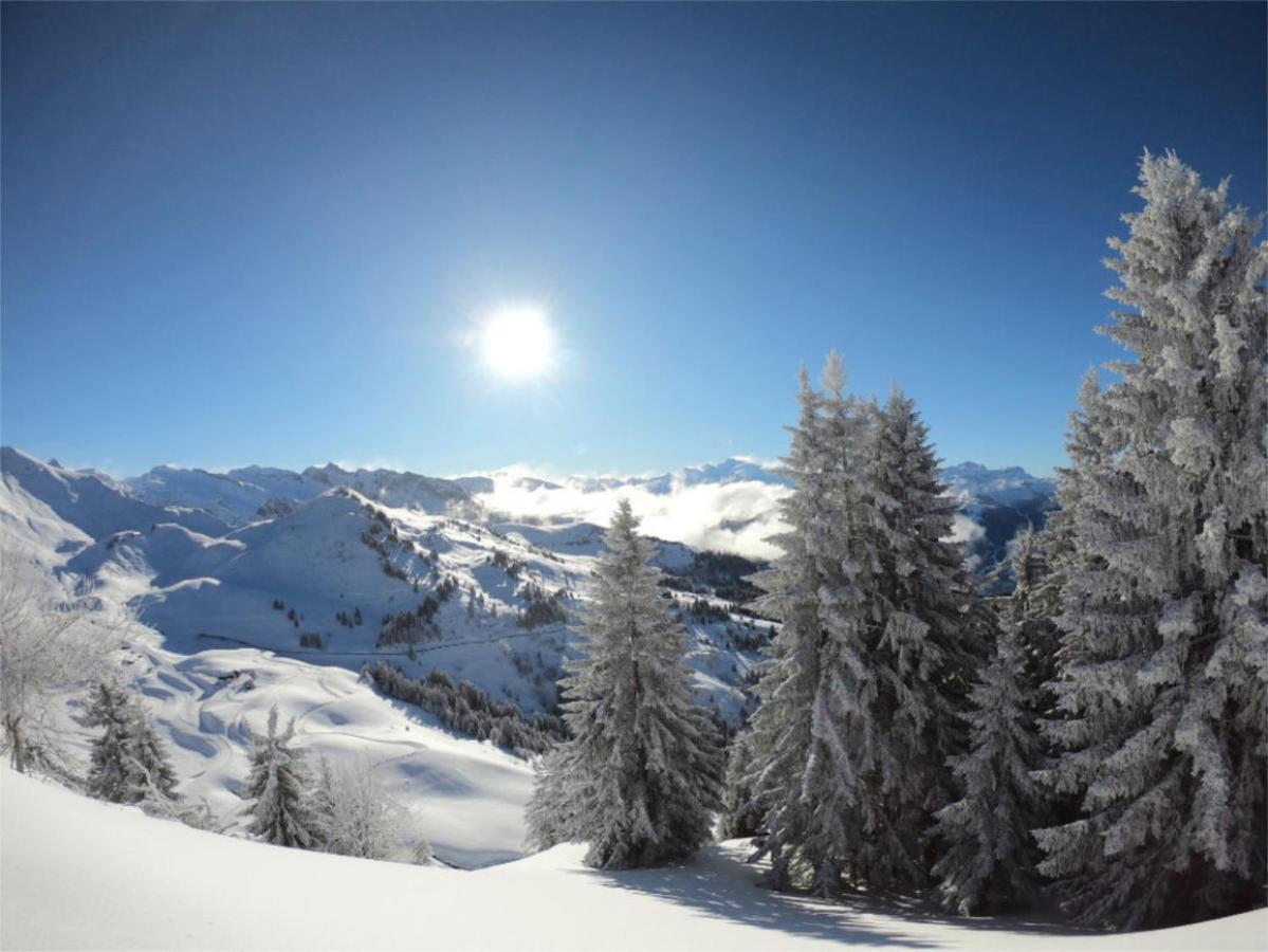 Chalet Aventure B&B Les Gets Dış mekan fotoğraf