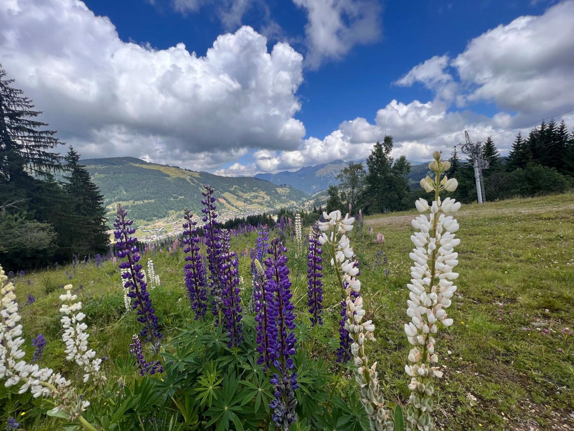 Chalet Aventure B&B Les Gets Dış mekan fotoğraf